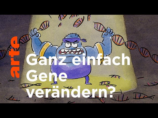 Kann man schlechte Gene einfach aussortieren? | Wer nicht fragt, stirbt dumm |ARTE