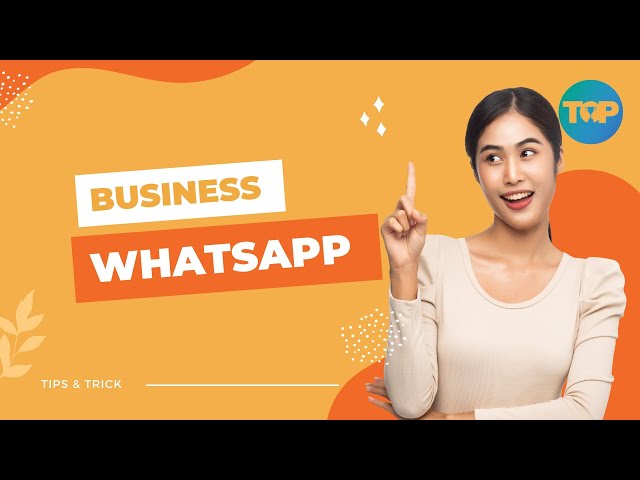 Business Whatsapp 🔥 How to Filter Contacts in WhatsApp WawPro