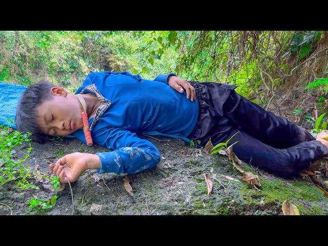 Full Video - 150 Day Picking forest items, catching snails, fishing, catching honey, making a living
