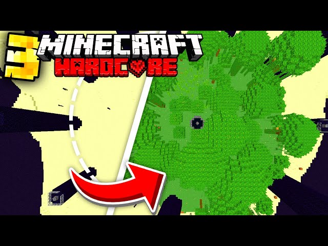 I Transformed THE END in Minecraft Hardcore