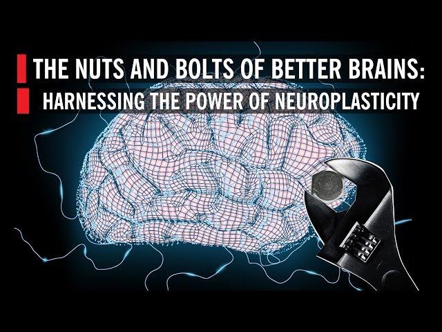 The Nuts and Bolts of Better Brains: Harnessing the Power of Neuroplasticity