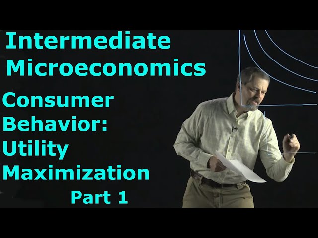 Intermediate Microeconomics: Consumer Behavior, Part 1