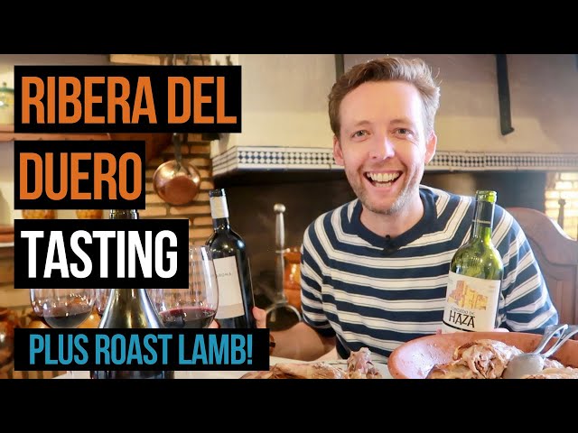 Ribera del Duero Wine Explained & Tasted (with Roast Lamb!)