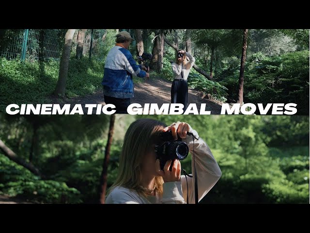 Forest Walking - Cinematic Gimbal Moves ft. Sean Kitching
