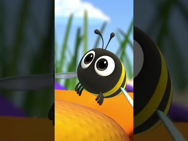 Blippi Meets a Real Bee! 🐝| Blippi & Blippi Wonders Educational Cartoons for Kids