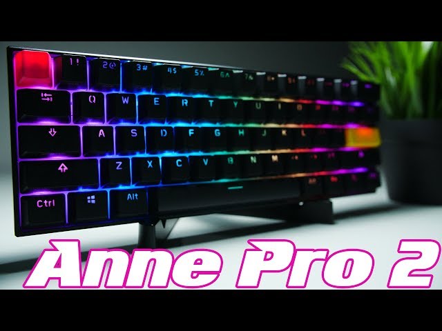 Anne Pro 2 Review: THIS or Ducky One 2 Mini??