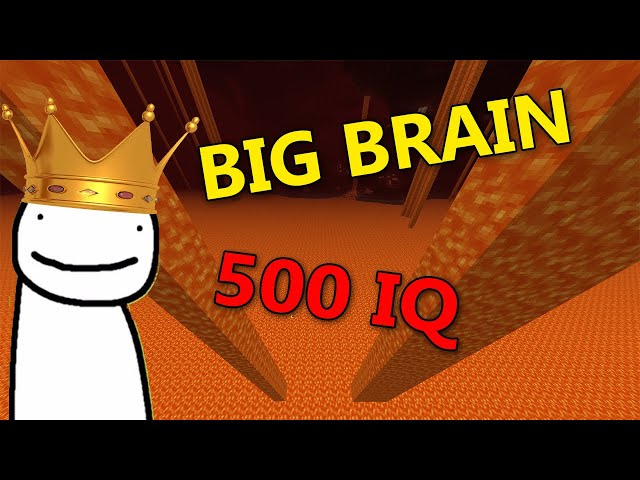 Dream Big Brain Plays (500 IQ)