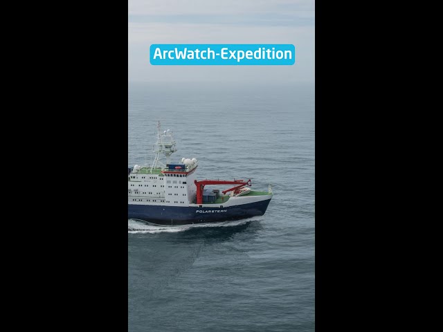 #Shorts ArcWatch Expedition Reel