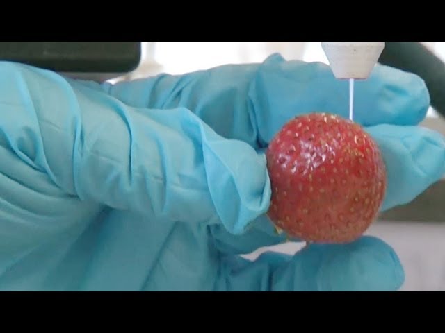 Blasting strawberries with plasma - Foodskey