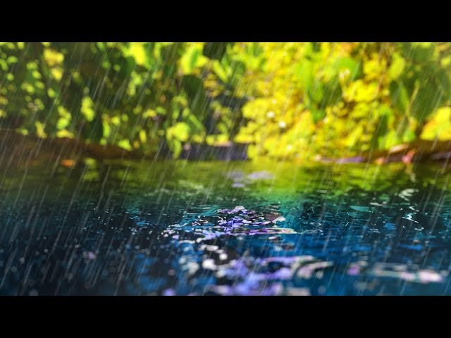 Rain Sounds + Gentle Stream | Sleep, Study, Focus | White Noise 10 Hours