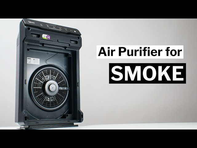 The Best Air Purifier for Smoke
