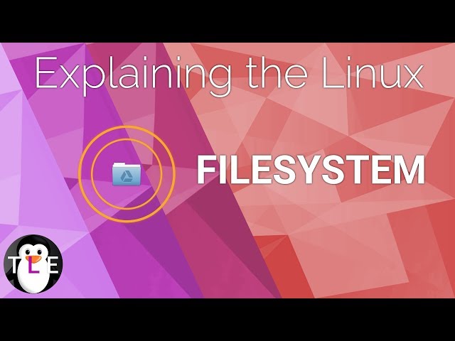 Linux and elementary OS filesystem : EXPLAINED