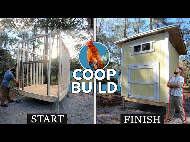 GIANT Chicken Coop Build! DIY Start to Finish | 15+ Chicken Capacity | Timelapse