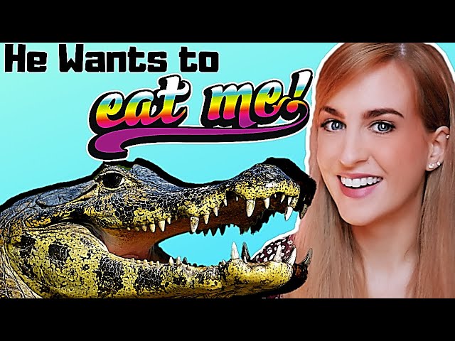 Irish Girl Tries Alligators & Airboat in the Everglades