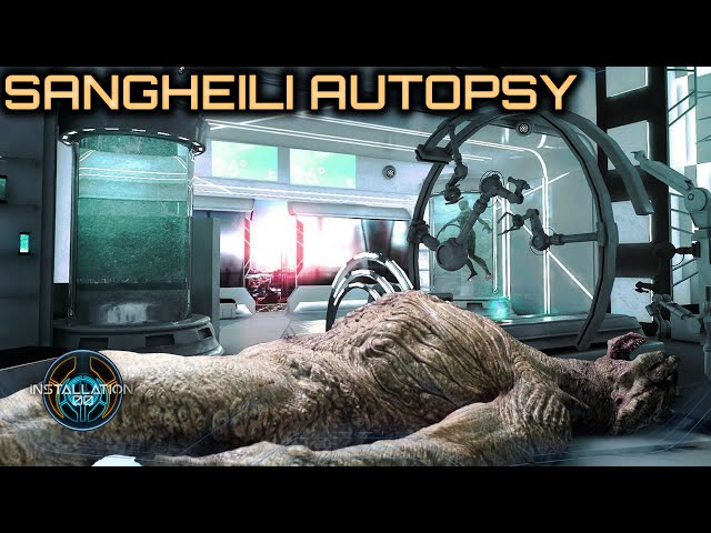 Sangheili Autopsy | Most Detailed Breakdown | Trailer