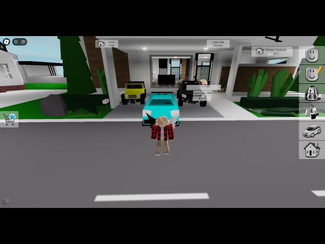 Roblox (PLAYING BROOKHAVEN)