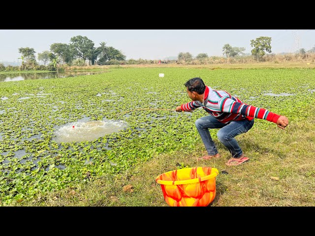 Fishing Video 🐠 || Traditional Boy Fishing in The Village Beautiful Pond || Amazing Hook Fishing