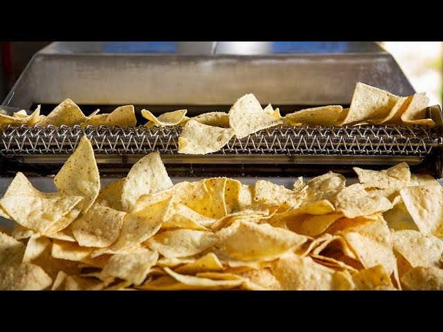 How are Tortilla Chips Made | Fresh Tortilla Chips Making Process
