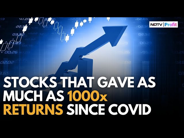 Top Stocks That Grew By As Much As 1000x Since COVID | The Editors Cut