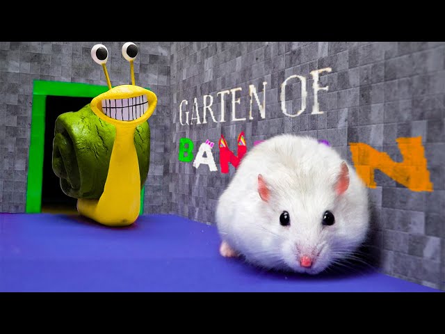 All New Monster Challenges - Hamster Adventure In Garten Of Banban, Rainbow Friends