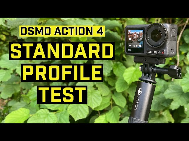 DJI Osmo Action 4 - Automatic Standard Settings, Any Good??