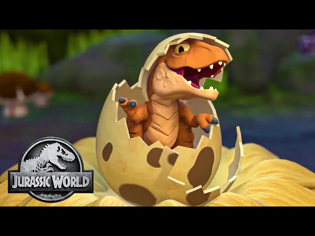 In Search of Dinosaurs! | Jurassic World | @ImaginextWorld