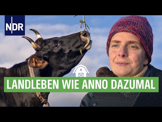 Wenn's kalt wird auf dem Ur-Bauernhof | Die Nordreportage | NDR