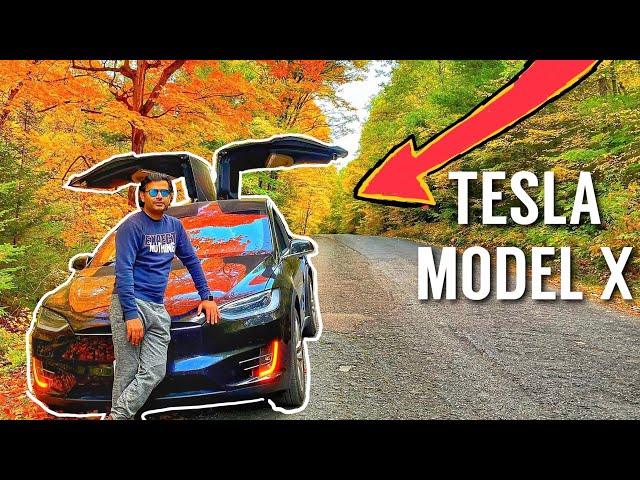 My TESLA Q&A and Main Features | Indian Vlogger in Canada