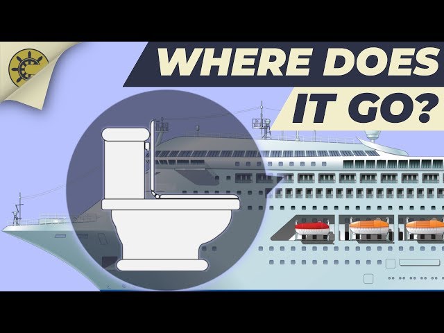 What happens after you flush the toilet on a cruise ship?