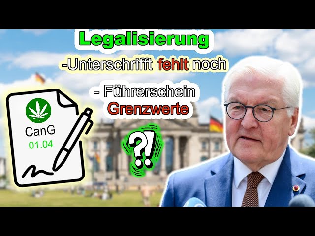 Wird Bundespräsident Cannabis Legalisierung unterzeichnen und ab 1 April legal ? Führerschein