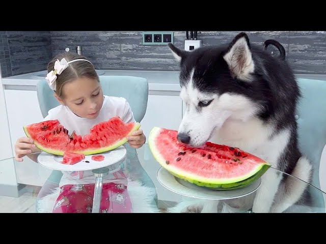 Sofia and her friends are playing with funny pets cat and dog