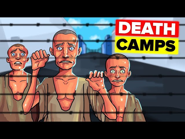 What They Didn't Tell You About Concentration Camps