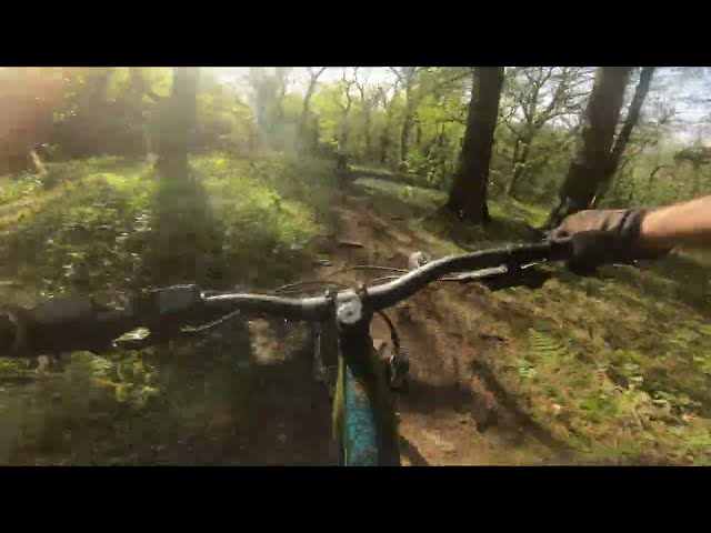 New lines at Tyn-Y-Coed DH Trails and Steetley grippy now