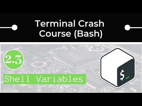Bash Shell Variables and Aliases (and how to set up your PATH variable)