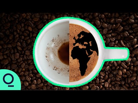 Inside the Global Fight to Save Coffee