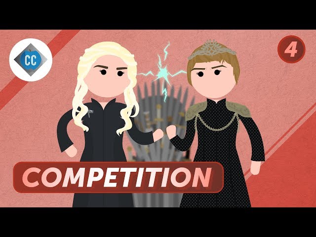 What Can You Learn from Your Competition?: Crash Course Business Entrepreneurship #4