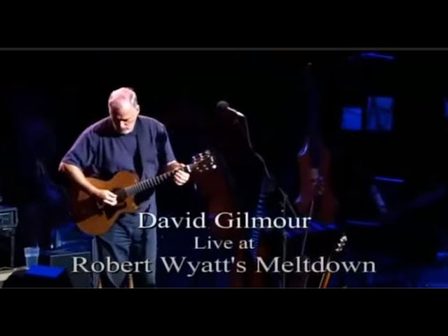 David Gilmour in Concert Meltdown 2001/2002