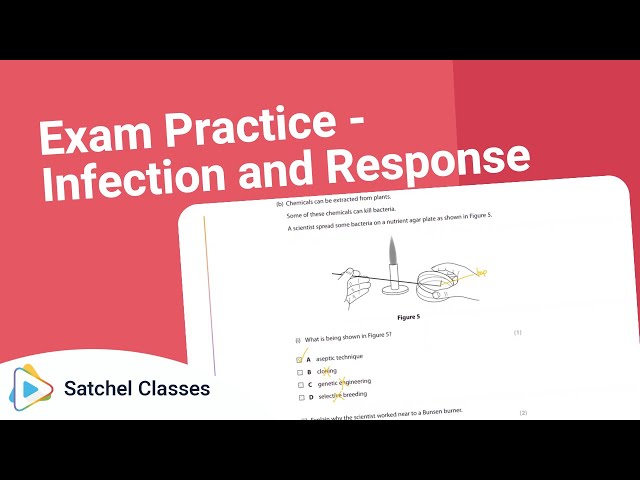 Biology  Sample Exam Questions  Infection and Response | Biology | Satchel Classes