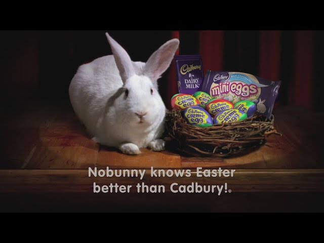 Cadbury Bunny commercial