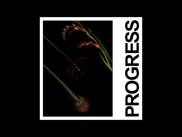 IDLES - PROGRESS (Official Audio)
