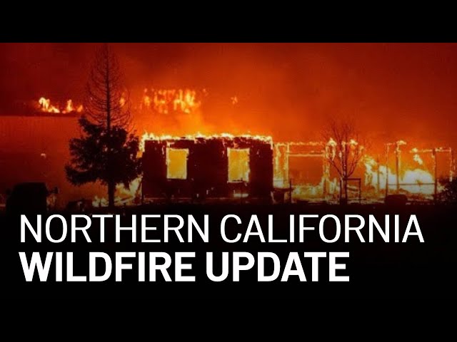 LIVE: Updates on California Wildfires, Evacuations [8/26 6 PM]