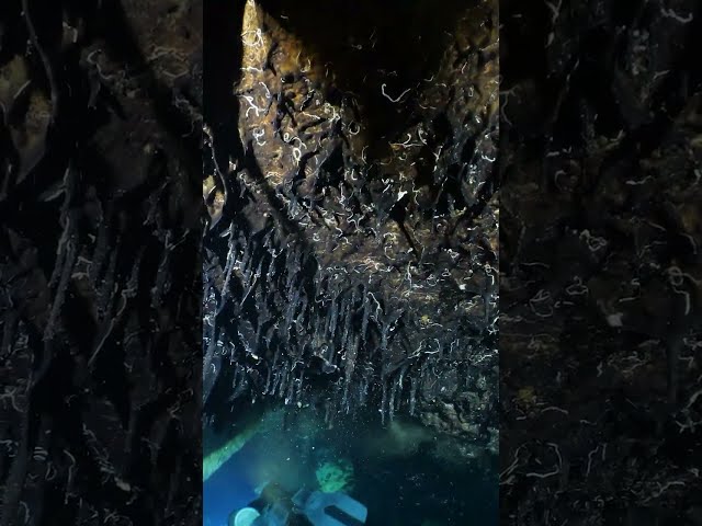 Black rock found in ocean cave
