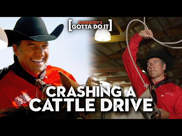 YIPPEE KI YAY! COWBOY Mike Rowe Takes a CRASH COURSE in Wrangling Cattle | Somebody's Gotta Do It