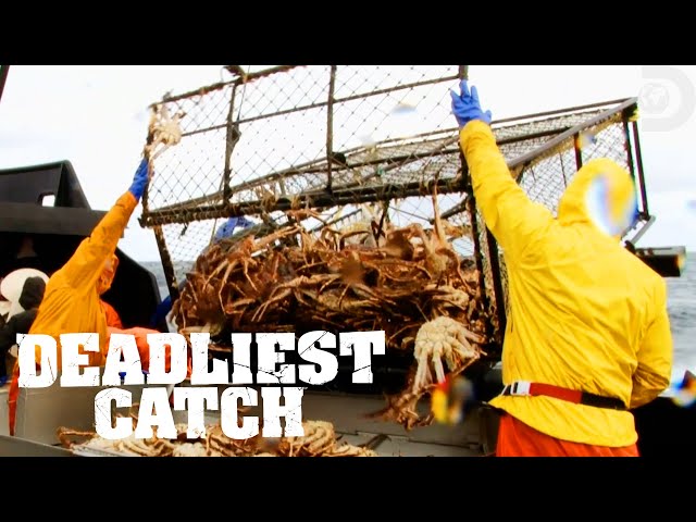 Wrapping Up King Crab Season | Deadliest Catch | Discovery
