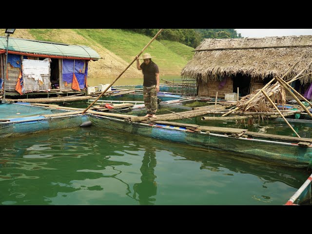 Making Fish Cages, Fishing and Selling to Traders, River Survival | EP.346