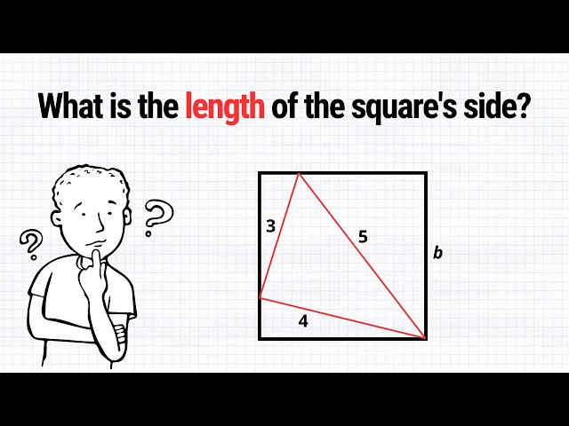 What is the length of the side of the square? | Easy geometry problem