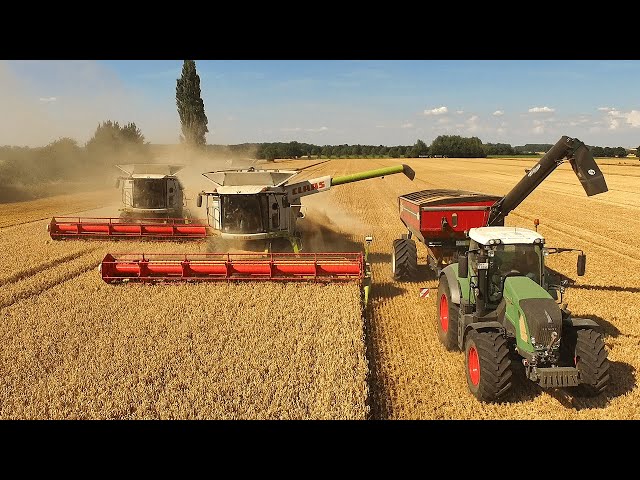 Claas Lexion 770 TT and Lexion 760 Combine Harvester assisted by a J&M Grain Cart