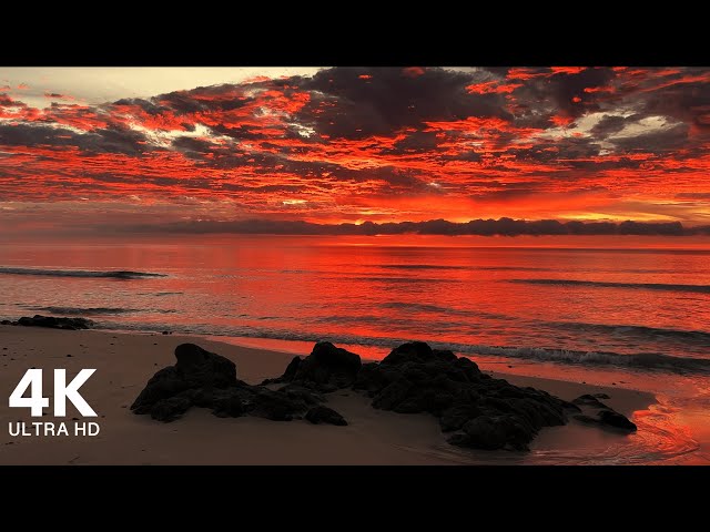 Perfect Sunrise at the Beach with Calming Sound of Waves | 4K Ultra HD