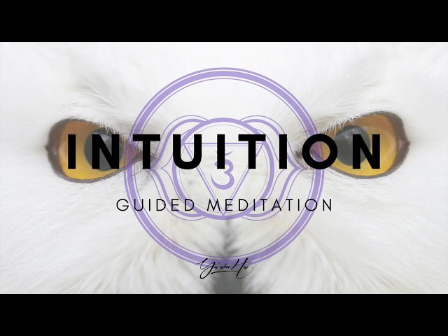 INTUITION | GUIDED MEDITATION | ANJA CHAKRA (THIRD EYE)| GUIDED NLP AFFIRMATIONS | 8D AUDIO