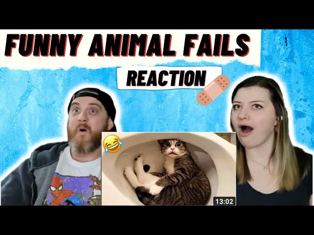 FUNNY ANIMAL FAILS #3 @DDOLOL | HatGuy & Nikki react